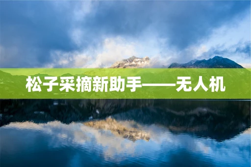 松子采摘新助手——无人机