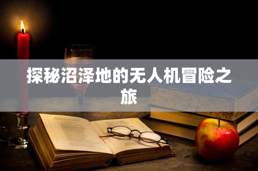 探秘沼泽地的无人机冒险之旅