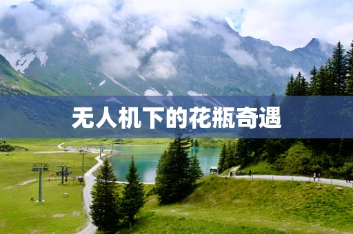 无人机下的花瓶奇遇