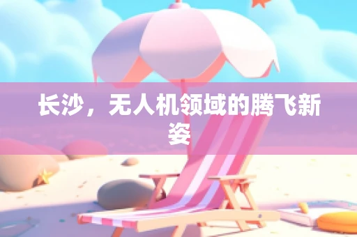 长沙，无人机领域的腾飞新姿