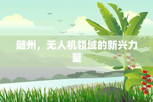 随州，无人机领域的新兴力量
