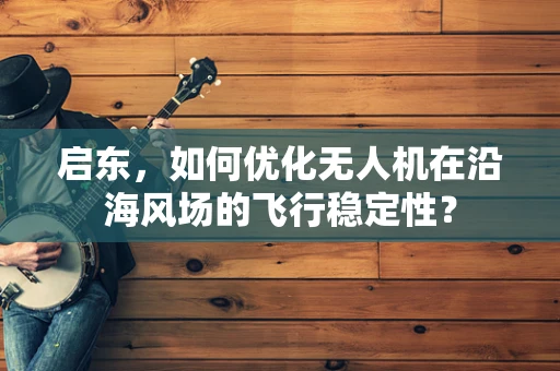 启东，如何优化无人机在沿海风场的飞行稳定性？