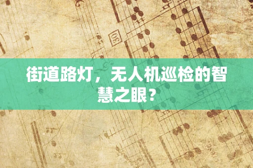 街道路灯，无人机巡检的智慧之眼？
