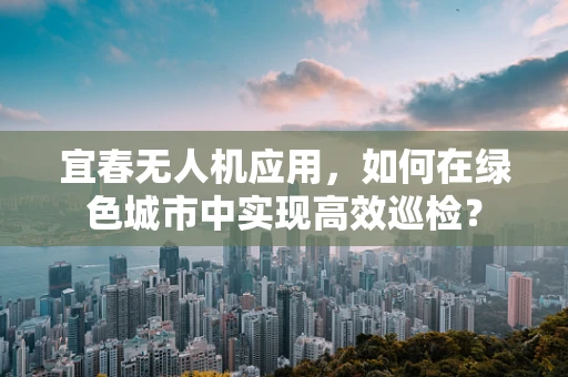 宜春无人机应用，如何在绿色城市中实现高效巡检？