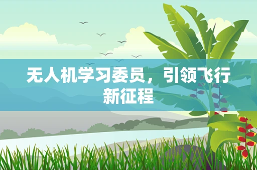 无人机学习委员，引领飞行新征程