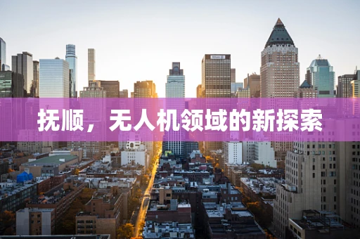 抚顺，无人机领域的新探索