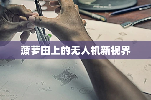 菠萝田上的无人机新视界