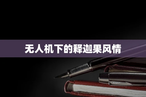 无人机下的释迦果风情