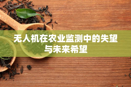 无人机在农业监测中的失望与未来希望