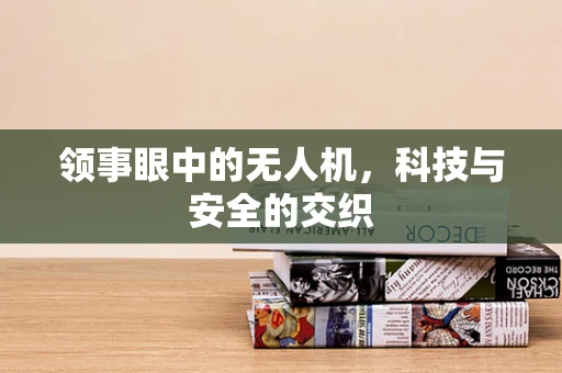 领事眼中的无人机，科技与安全的交织