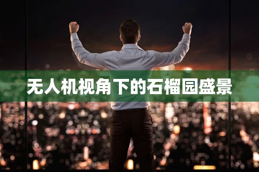 无人机视角下的石榴园盛景