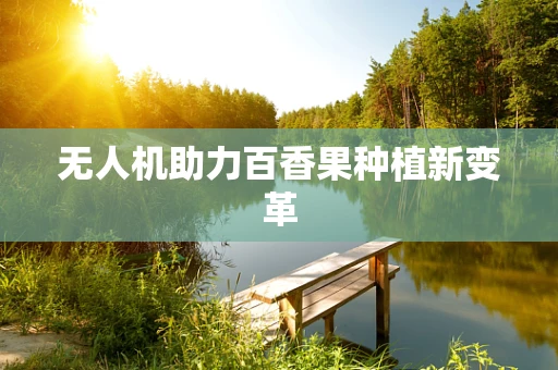 无人机助力百香果种植新变革