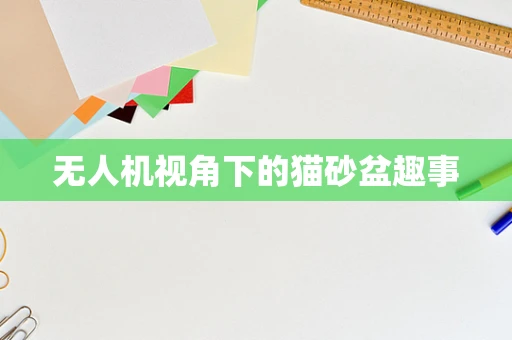无人机视角下的猫砂盆趣事