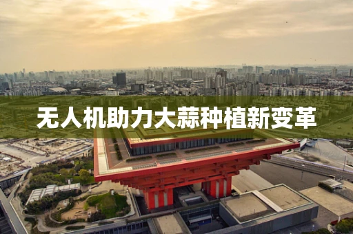 无人机助力大蒜种植新变革