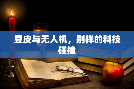 豆皮与无人机，别样的科技碰撞