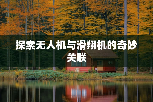 探索无人机与滑翔机的奇妙关联