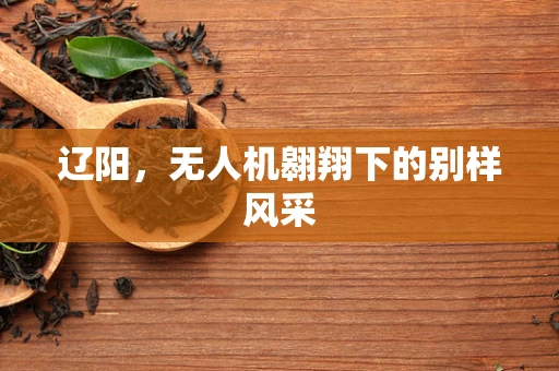 辽阳，无人机翱翔下的别样风采