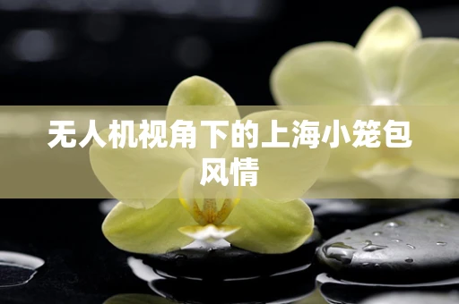 无人机视角下的上海小笼包风情