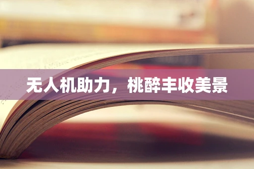 无人机助力，桃醉丰收美景