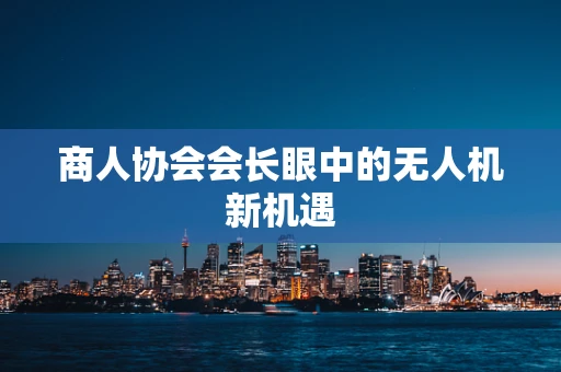 商人协会会长眼中的无人机新机遇