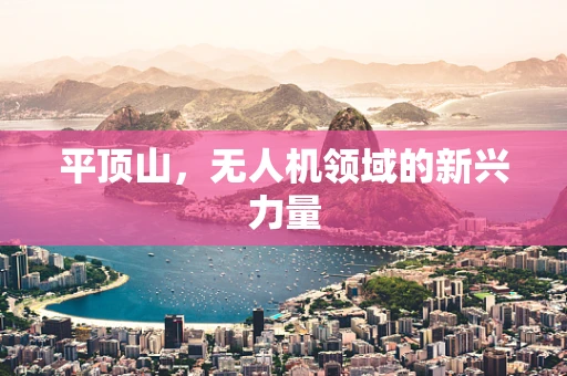 平顶山，无人机领域的新兴力量