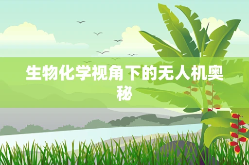 生物化学视角下的无人机奥秘