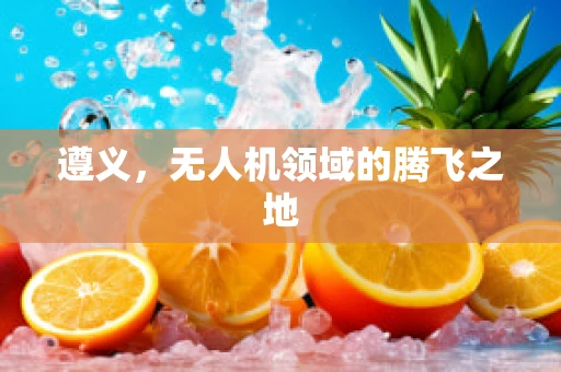 遵义，无人机领域的腾飞之地