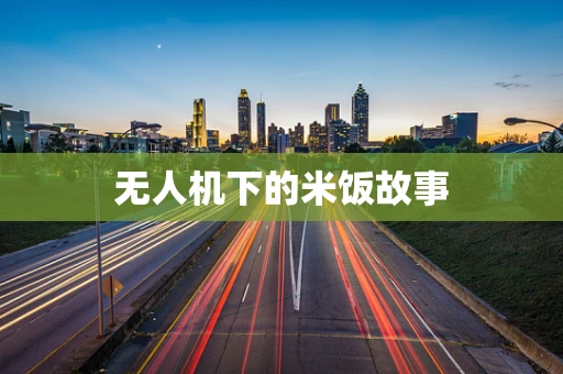 无人机下的米饭故事