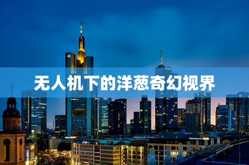 无人机下的洋葱奇幻视界
