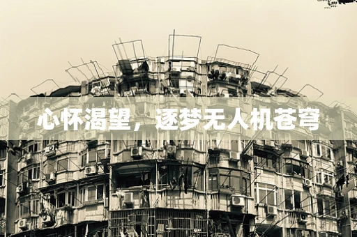 心怀渴望，逐梦无人机苍穹