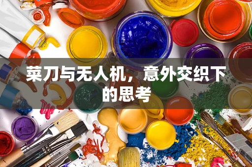 菜刀与无人机，意外交织下的思考