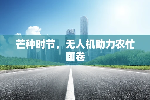 芒种时节，无人机助力农忙画卷