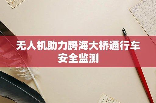 无人机助力跨海大桥通行车安全监测