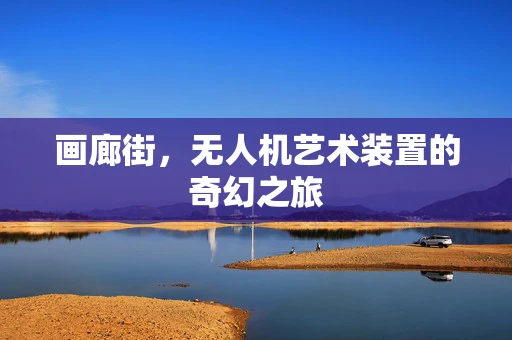 画廊街，无人机艺术装置的奇幻之旅
