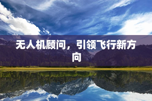 无人机顾问，引领飞行新方向
