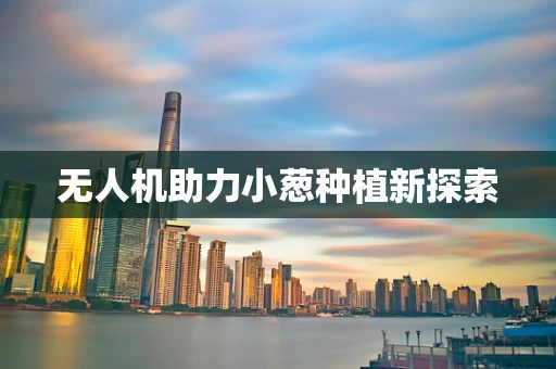 无人机助力小葱种植新探索