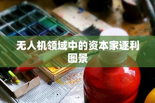 无人机领域中的资本家逐利图景