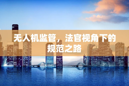 无人机监管，法官视角下的规范之路