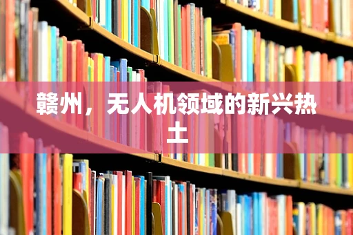 赣州，无人机领域的新兴热土