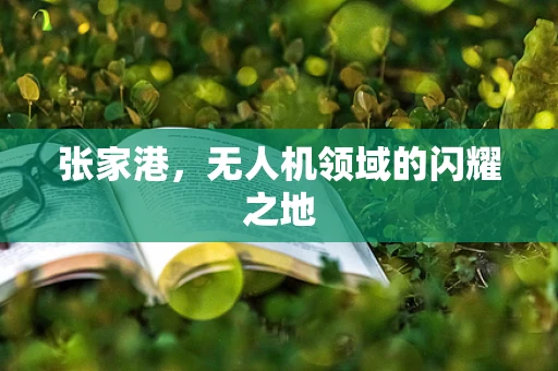 张家港，无人机领域的闪耀之地