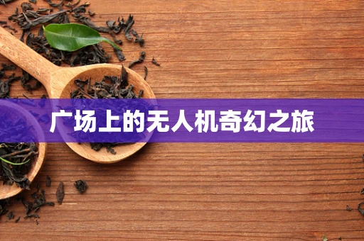 广场上的无人机奇幻之旅