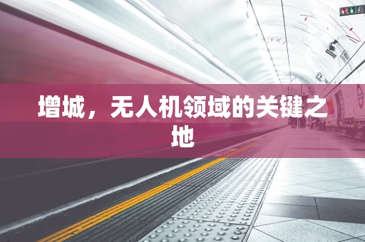 增城，无人机领域的关键之地