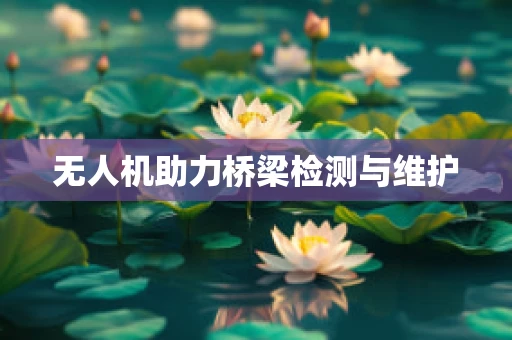 无人机助力桥梁检测与维护