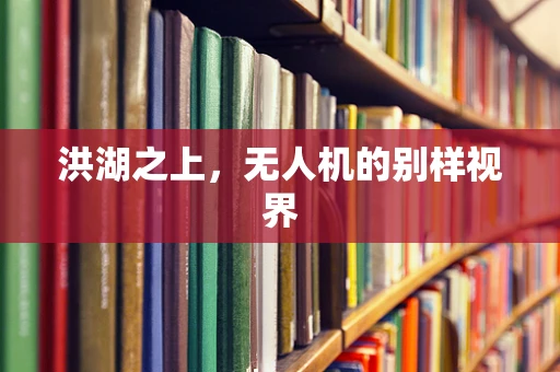 洪湖之上，无人机的别样视界