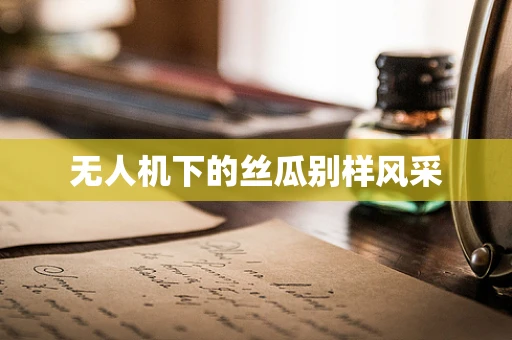 无人机下的丝瓜别样风采