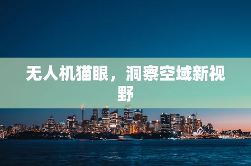 无人机猫眼，洞察空域新视野
