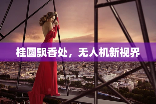 桂圆飘香处，无人机新视界