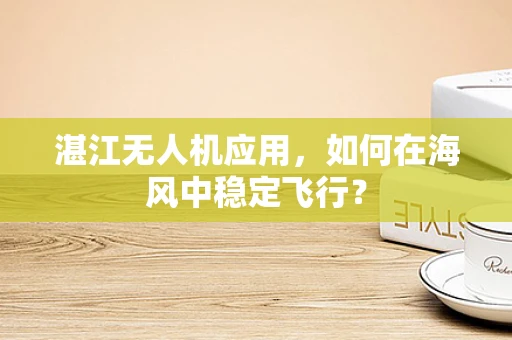 湛江无人机应用，如何在海风中稳定飞行？