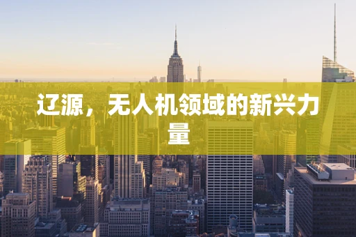 辽源，无人机领域的新兴力量