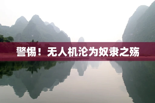 警惕！无人机沦为奴隶之殇